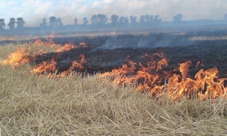 Пожар в с.п.Али-Юрт — МЧС России по Республике Ингушетия